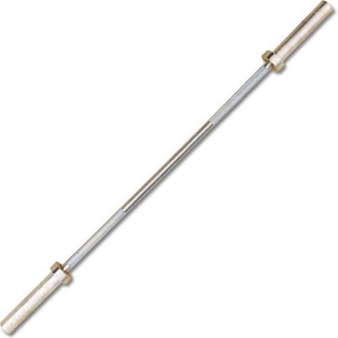 60 Champion Barbell Bar 700 lbs. Capacity
