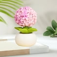 thumbnail image 1 of Up to 60% off Gifts Kcavykas Tabletop Decorative Figurines Decorative Resin Cactus Plant Pot, Small Faux Succulent Figurine for Home, Office, or Car Decor Daily Hot Picks & Limited-Time Offers, 1 of 6