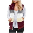 thumbnail image 1 of clear 50% off Usmixi 2023 Fleece Vest for Women Plush Jacket for Women Plus Size Fashion Color Patchwork Sleeveless Vest Coat Full Zipper Stand Neck Sherpa Outwear Winter Fleece Vest, 1 of 4