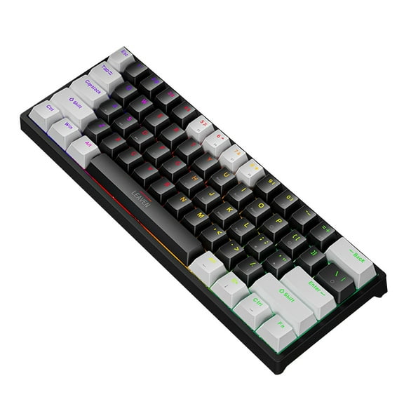 60% Mechanical Gaming Keyboard - RGB Backlit Compact 61 Keys with Blue Switches for PC, Detachable USB-C Cable - Wired Clicky Keyboard for Typing & Esports