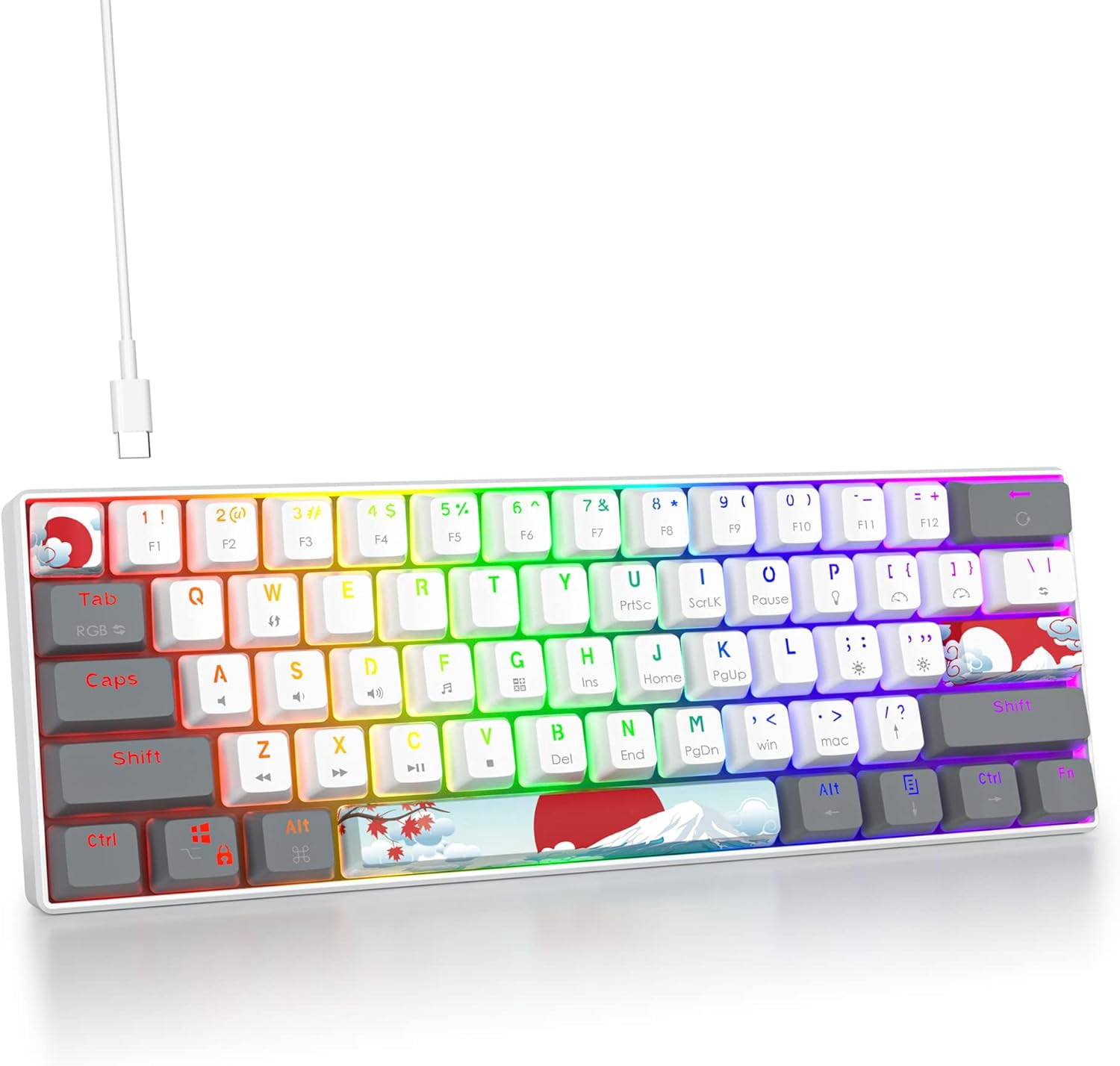 60% Mechanical Keyboard 61-Key Wired Gaming Keyboard with Red RGB Lighting Effect PBT Keycaps Ultra-Compact Mini Keyboard Suitable for Win/(61 White)