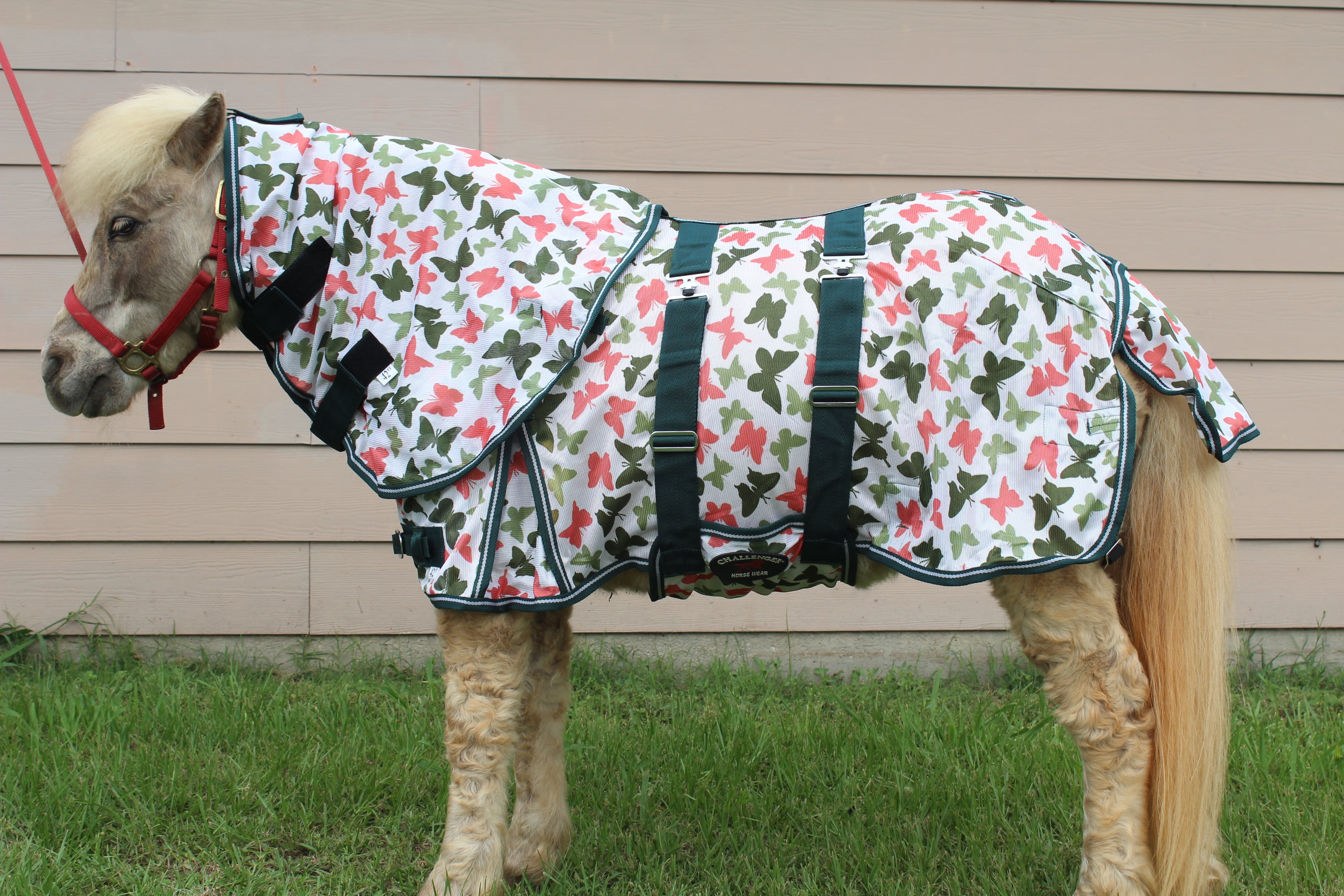 Gallopoff Mini Horse/Small Pony/Miniature Donkey Fly Sheet With