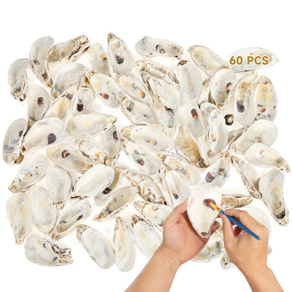 60 Pcs Natural Oyster Shells, 4-5 Inch Large Seashells for Crafts, Aquarium Decor, Beach Theme Decorations, Wedding Centerpieces, Coastal Home Decor