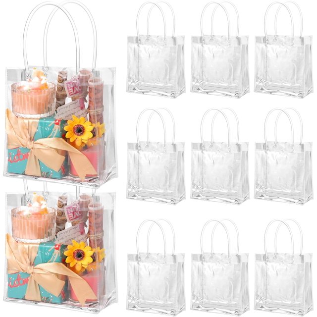 60 Pack Clear Gift Bags with Handle Small Size Bulk Reusable Plastic