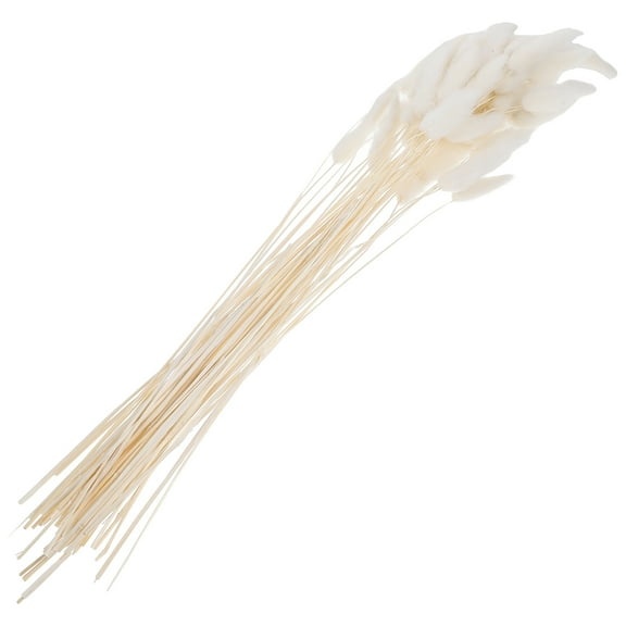FRCOLOR 60Pcs Bunny Tail Natural Plants White Decorative Dried Grass for Home and Party