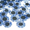 thumbnail image 1 of 60-Pack Dried Pressed Flowers for Resin, Real Natural Bulk Dry Floral for Crafts/DIY Jewelry/Soap Making/Scrapbooking/Handmade Candle/Epoxy Resin Supplies [Blue], 1 of 6