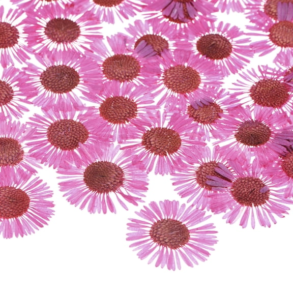 60-Pack Dried Pressed Flowers for Resin, Real Natural Bulk Dry Floral for Crafts/DIY Jewelry/Soap Making/Scrapbooking/Handmade Candle/Epoxy Resin Supplies [Rose Pink]