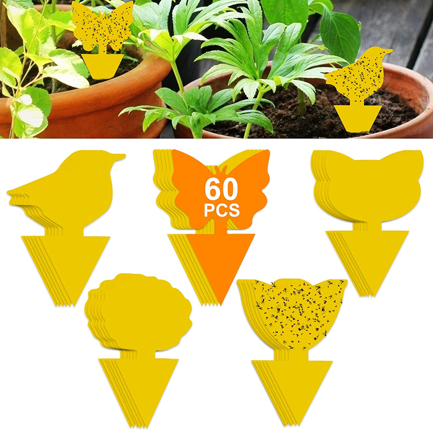 60 Pack Plant Sticky Trap Fungus Gnat Traps Killer for Indoor and Outdoor Bug, Fruit Fly Sticky Strips Protect Houseplant, Non-Toxic and Odorless
