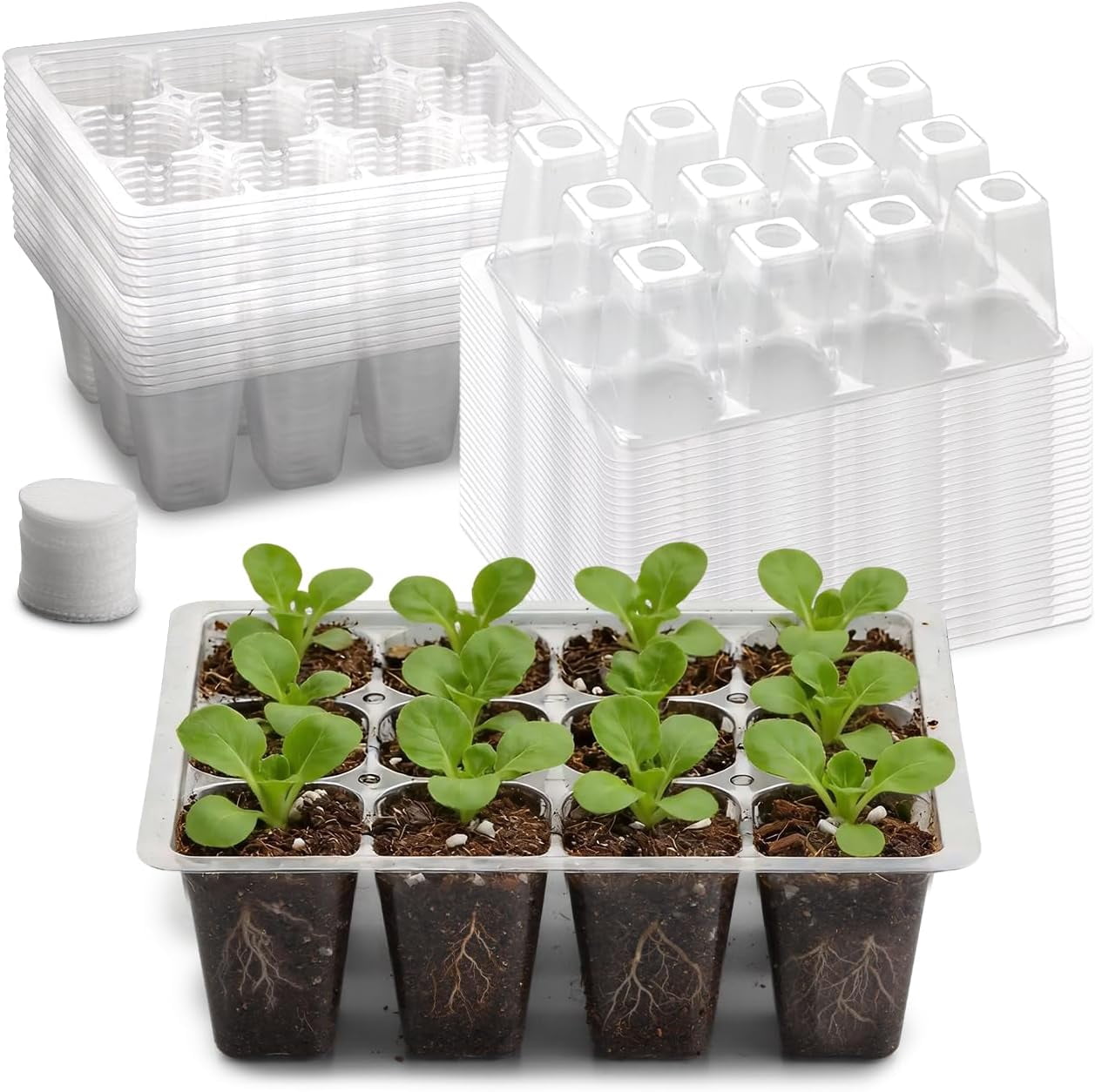 60 Pack Reusable 12-Cell Seed Starter Tray, Plant Starter Trays with Large Drainage Holes for Seed Germination, Easy to Repotted, Fits Standard 1020 Flats and Trays, Black