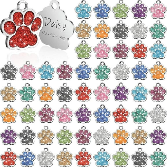 60 Pcs DIY Blank Tags - 1in Pet Identity Tags, Suitable for Small Dogs/Cats, DIY Carving Name Tags