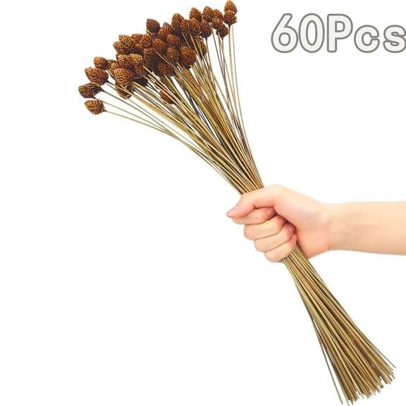 60 Pcs Dried Pine Cone Flowers with Stems Tutuviw Natural Dried Flowers Bouquet Bulk 15.6 in Billy Ball Flowers Decor for Vase DIY Crafts and Fall Wedding Bridal Shower Home Decoration