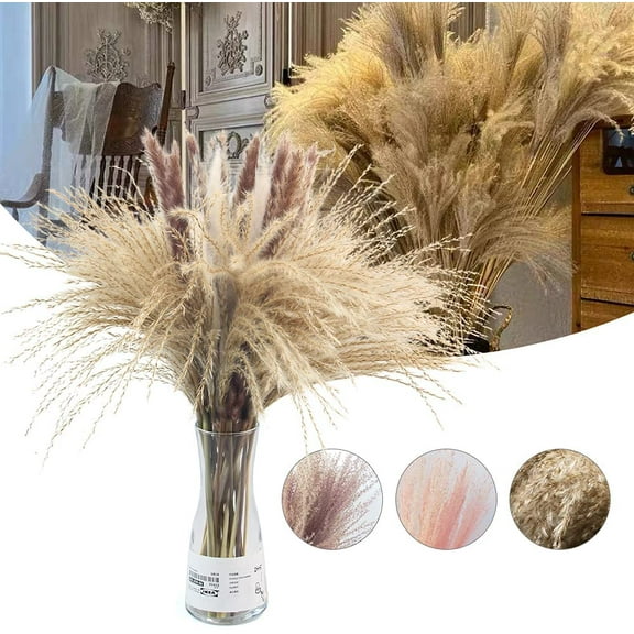 60 Pcs Natural Dried Pampas Grass - 15 Pcs White Pampas & 15 Pcs Brown Pampas & 30 Pcs Reed Grass Boho Decor for Living Room Home Wedding Party