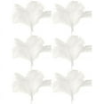 thumbnail image 1 of 60 Pcs Natural Ostrich Feathers Wedding Party Decoration White 45-50cm, 1 of 4