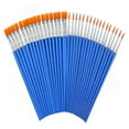 60 Pcs Paint Brushes, Round Flat Small Brush Bulk for Detail Painting