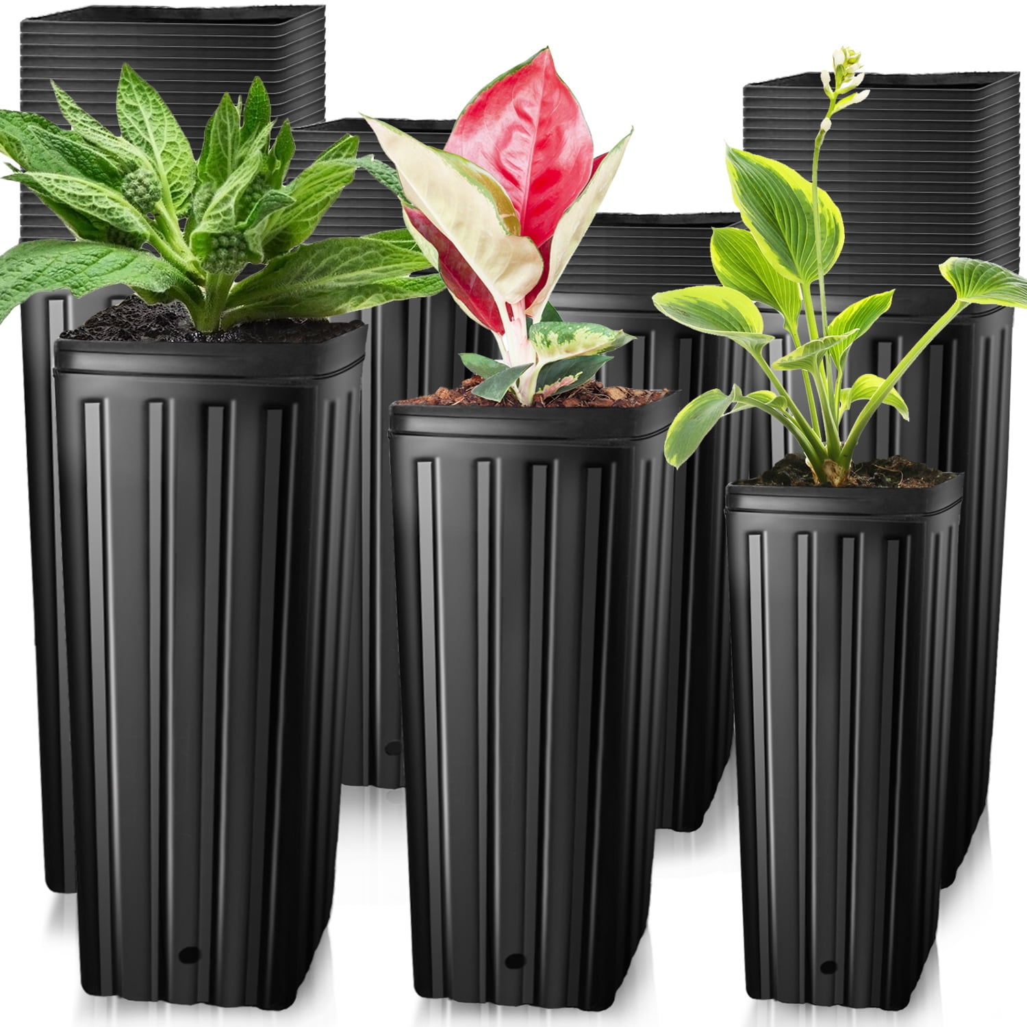 60 Pcs Plastic Deep Plant Nursery Pots,Tall Tree Pots with Drainage Holes,Black Deep Seedling Container Pots for for Indoor Outdoor Gardening(3 Size-7.8"H+9.8"H+12.2"H)