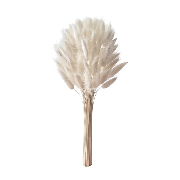 60-Piece Bunny Tails Dried Flower Bouquet with Vase,Silk Floral Stems for Wedding or Boho Decor,Fluffy and Realistic Look,No Maintenance Required and Safe for niñas and Pets.