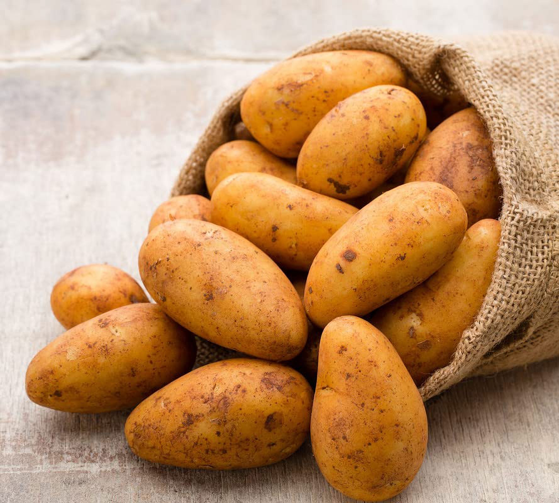60 Russet Yellow Potato Seeds, Yellow Potatoes Seeds For Growing