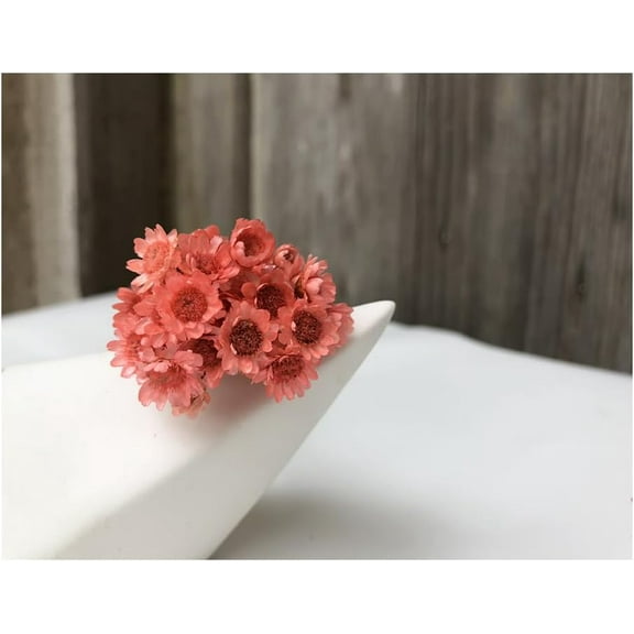 60 Stems Daisy Dried Flowers Bulk, Pink Dried Daisy Flowers Bouquet, Small Daisy Chamomile Dry Flower for Wedding Floral Arrangements DIY Photo Props Home Decor Gift