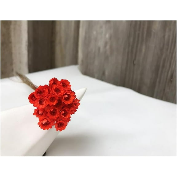 60 Stems Daisy Dried Flowers Bulk, Red Dried Daisy Flowers Bouquet, Small Daisy Chamomile Dry Flower for Wedding Floral Arrangements DIY Photo Props Home Decor Gift