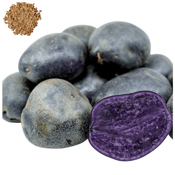 60 TPS True Potato Seeds Purple Majesty Potatoes Seeds Potato Heirloom Vegetable Seeds for Growing, Tiny Seed