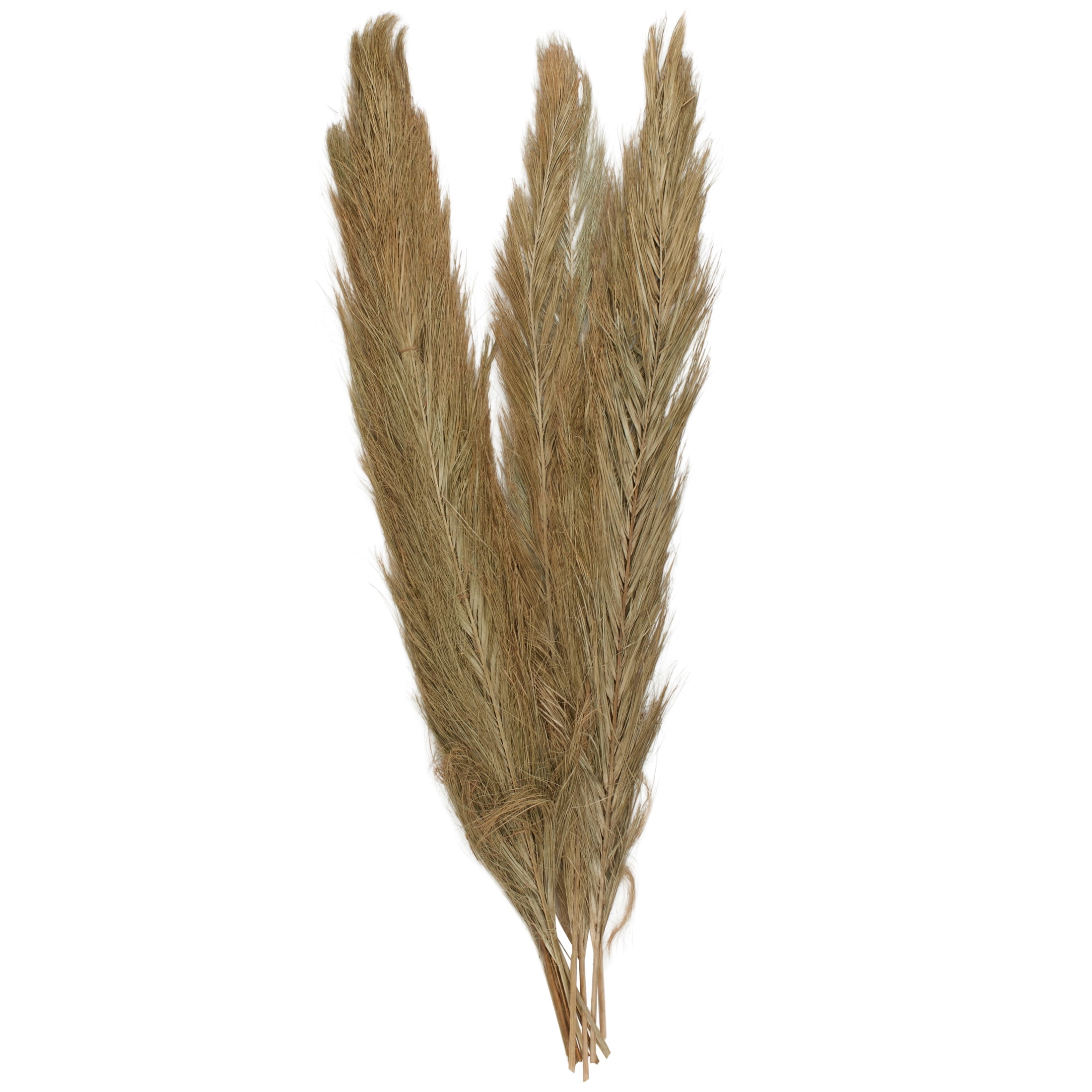 60" Tall Palm Leaf Natural Foliage Bouquet, by DecMode