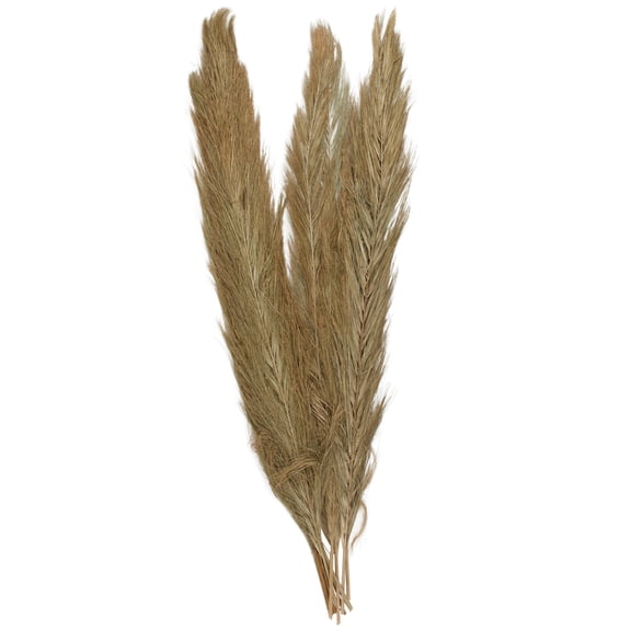 60" Tall Palm Leaf Natural Foliage Bouquet, by DecMode