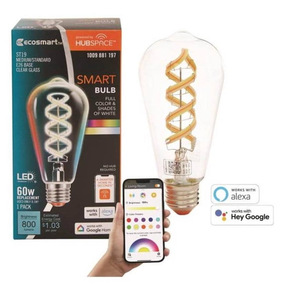 60-Watt Equivalent Smart ST19 Clear Color Changing CEC LED Light Bulb with Voice Control (1-Bulb) Powered by Hubspace