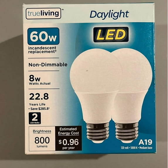 60 Watt LED Lightbulbs
