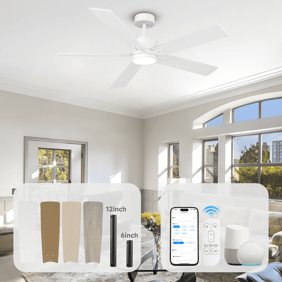 60" White Ceiling Fan with Light and Remote/Alexa/App Control, 10 Double sided Blades Damp-rated, Modern High CFM Ceiling Fan, 6 Speed, Quiet Reversible DC Motor, 3CCT Dimmable