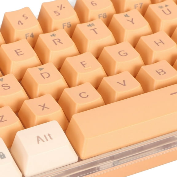 60% Wired Gaming Keyboard RGB Backlight, Compact 61 Key USB Design For PC  Office