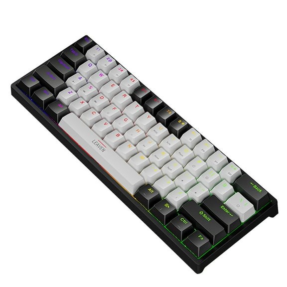60% Wired Mechanical Gaming Keyboard, 61 Keys Blue Switch RGB Backlit Compact Keyboard with Detachable USB-C Cable, Double Shot Keycaps for PC Laptop Gaming & Office(White)