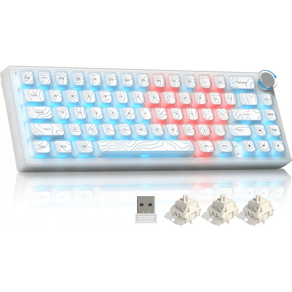 60% Wireless Mechanical Keyboard with QMK/VIA, BT5.0/2.4G/USB-C, RGB Lighting, Hot-Swappable Switches, Double-Layer Clear Keycaps, C-White Transparency