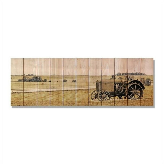 60 x 20 in. Heart Land Inside & Outside Cedar Wall Art