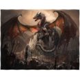 thumbnail image 1 of 60 x 80 Inch War with The Dragon On Castle Soft Throw Blanket for Bed Couch Sofa Lightweight Travelling Camping Throw Fleece Cozy for Kids Boys Adults Men All Season, 1 of 5