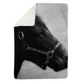 thumbnail image 1 of 60 x 80 in. Gallopin The Horse-Sherpa Fleece Blanket, 1 of 1