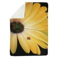 thumbnail image 1 of 60 x 80 in. Yellow Daisy & Ladybug-Sherpa Fleece Blanket, 1 of 1