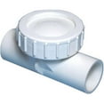 thumbnail image 1 of 600-4000 Flapper Check Valve Body - White - 1 x 1 in., 1 of 1