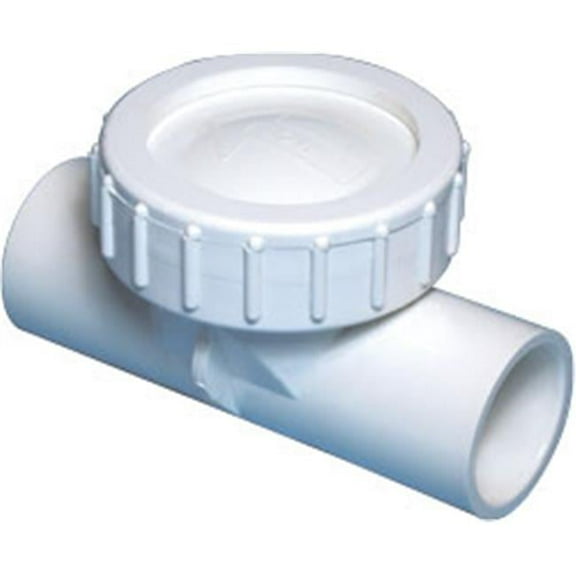 600-4000 Flapper Check Valve Body - White - 1 x 1 in.
