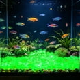 thumbnail image 1 of 600-Piece Glow In The Dark Garden Pebbles Luminous Resin Stones For Yard Pathway Aquarium Decor 0.4 Inches, 1 of 8