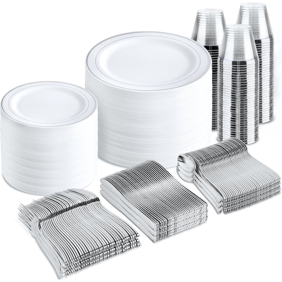 600-Piece Silver Disposable Dinnerware Set for 100 Guests Including Plates Cups and Flatware