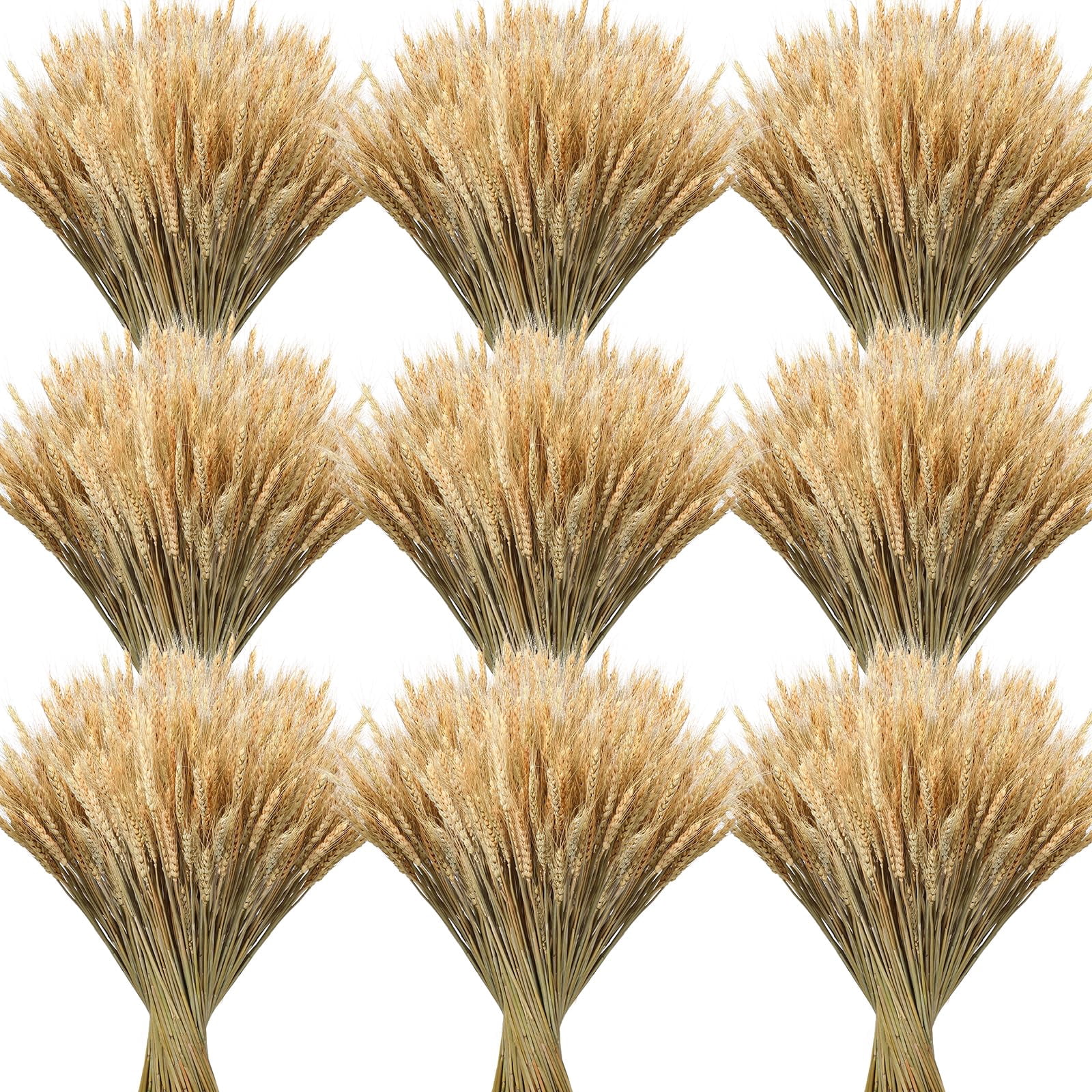 600 Stems Dried Wheat Stalks for Decor Natural Wheat Grass Sheaves Bundle Farmhouse Artificial Flowers Arrangement for DIY Wedding Table Home Centerpieces Party Decorative (16 Inch)