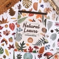 thumbnail image 1 of 600+ Waterproof Vinyl Leaf Stickers, 30 Sheets Realistic Botanical Foliage Plant Stickers Book for Journaling Scrapbooking Water Bottle Laptop Planner Decoration, Nature-Themed DIY Supplies for Women, 1 of 14