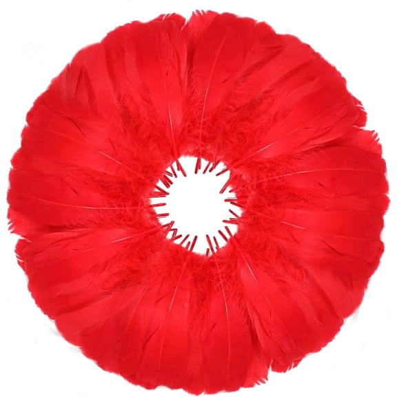 600PCS Red Feathers, 3-4.7 inch Feathers Bulk for DIY Crafts Wedding Halloween Costume Party Decorations Dream Catcher Supplies