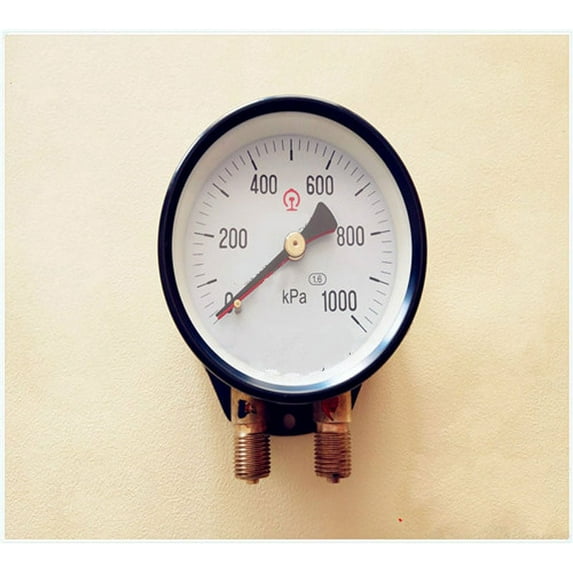 600kpa 1000kpa 1600kpa Digital double needle liquid filled pressure gauge manometer gauge meter M16*1.5