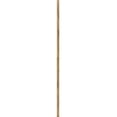 thumbnail image 1 of Hinkley Lighting 6066HB 12" Downrod Accessory - Brass, 1 of 1