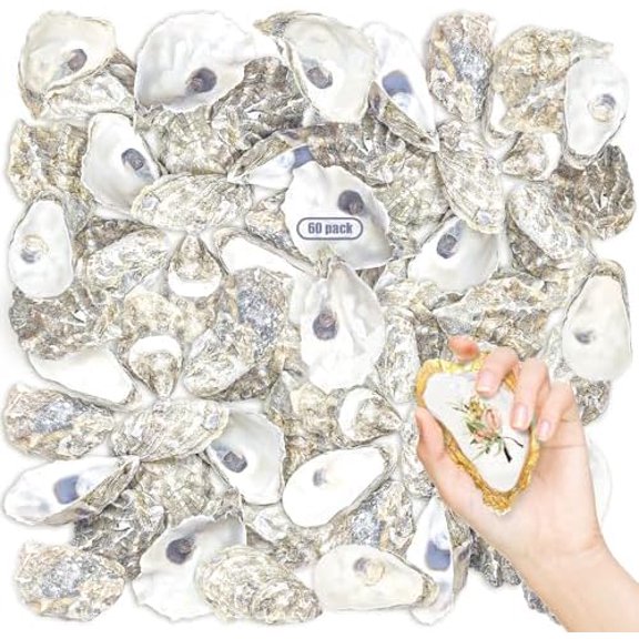 60PCS Oyster Shells 4"-5" Oyster Shells Bulk Large Oyster Shells for Home Decor Vase Filler, Ornaments, DIY Arts and Crafts Sea Shells, Deeper Shells$$Home Decor, Kitchen, & Other