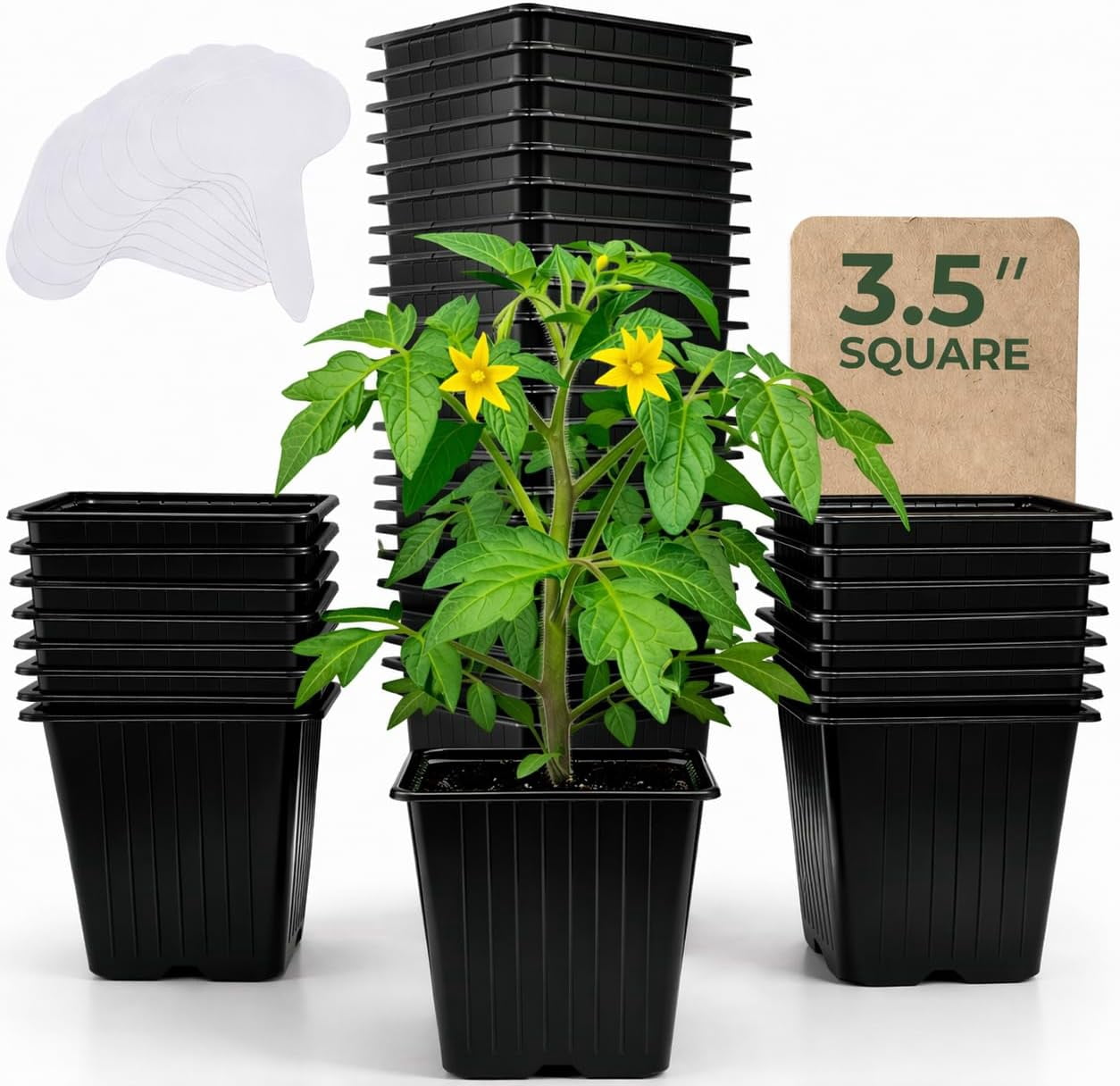 60Pack Square Nursery Pots - 3.5 Inch Seedling Plant Pot with Drainage Holes - 1020 Tray Optimized - Reusable Sturdy Seed Starter Pots for Flowers, Vegetables, Greens