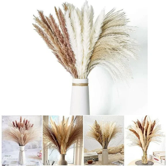 60Pcs Dried Pampas Grass 19.7" Natural Pampas Reeds Flower Bouquets Home Decor