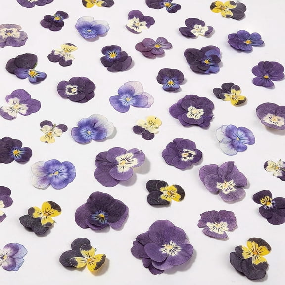 60Pcs Dried Pressed Pansies Flowers for Cake Decorating, Purple Real Dry Flower for Resin Art Crafts Jewelry Decorations