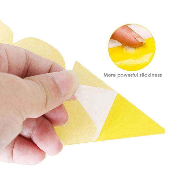 60Pcs Dual-Sided Yellow Fruit Fly Sticky,Pest Control Traps